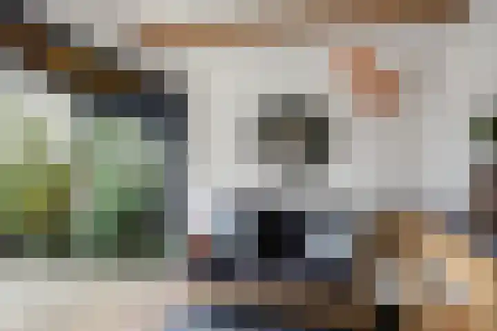 Davenschot 3 Heino thumbnail 29