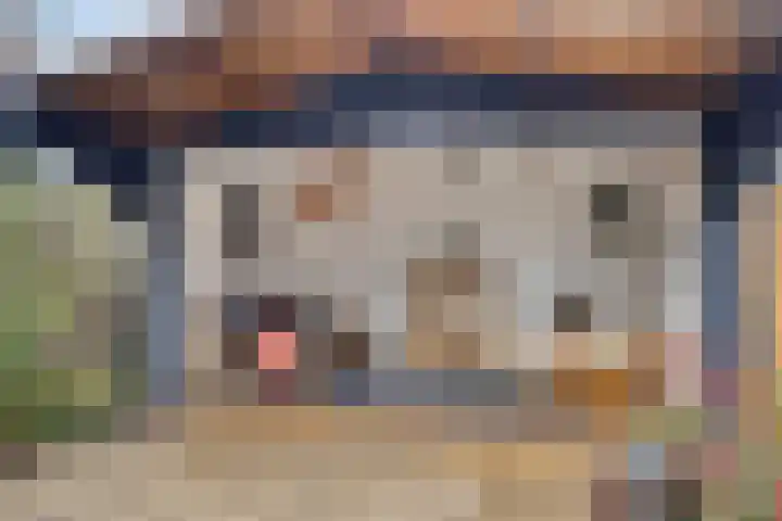 Davenschot 3 Heino thumbnail 30