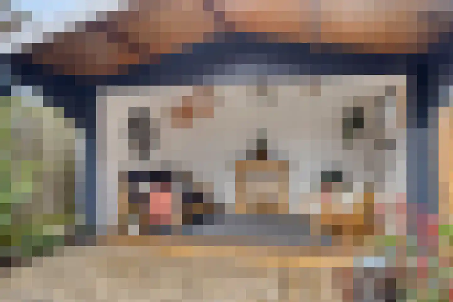 Davenschot 3 Heino thumbnail 30