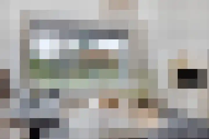 Davenschot 3 Heino thumbnail 4