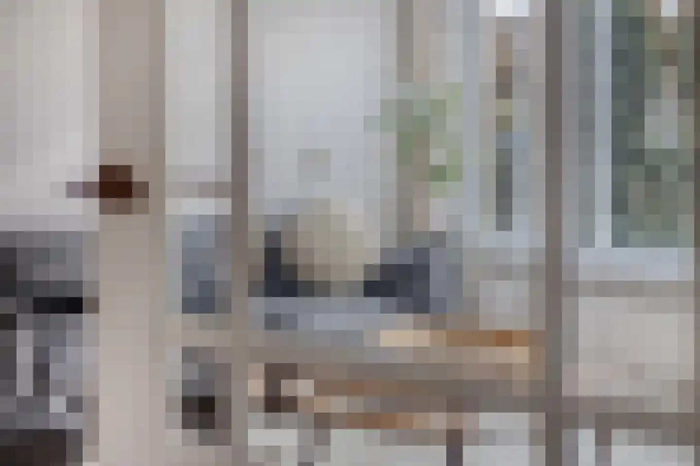 Davenschot 3 Heino thumbnail 5