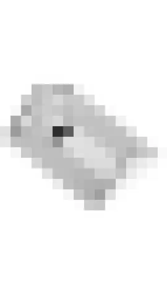 Daverhof 5 Kerk-Avezaath thumbnail 55