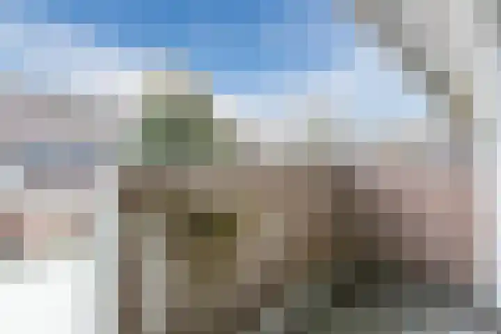 Daverveld 2 Bergen op Zoom thumbnail 39
