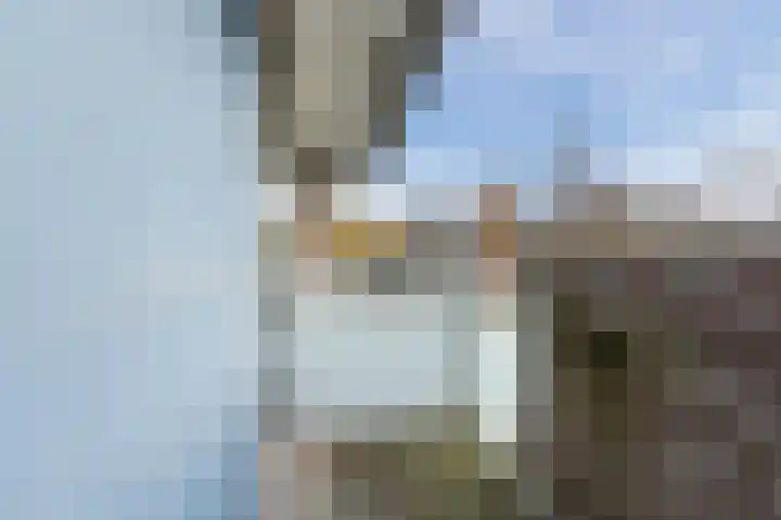 Daverveld 2 Bergen op Zoom thumbnail 40