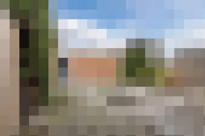 Daverveld 2 Bergen op Zoom thumbnail 43