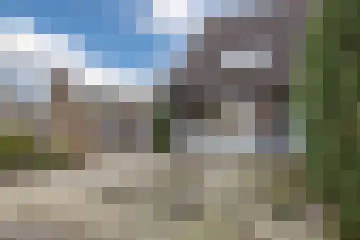 Daverveld 2 Bergen op Zoom thumbnail 45