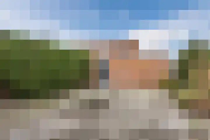 Daverveld 2 Bergen op Zoom thumbnail 5