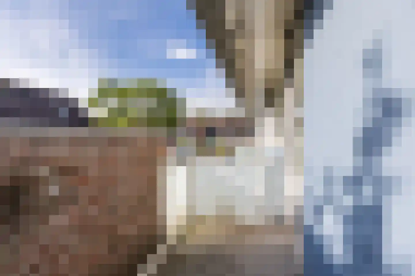 Daverveld 4 Bergen op Zoom thumbnail 21