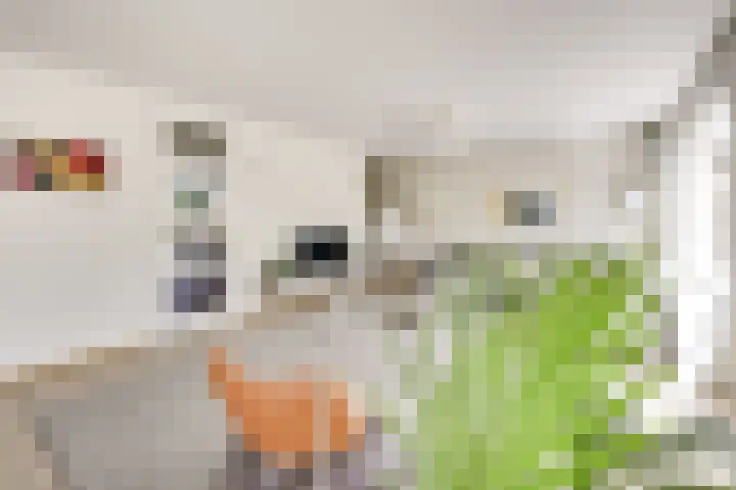 David Ben Goerionstraat 60 Utrecht thumbnail 6