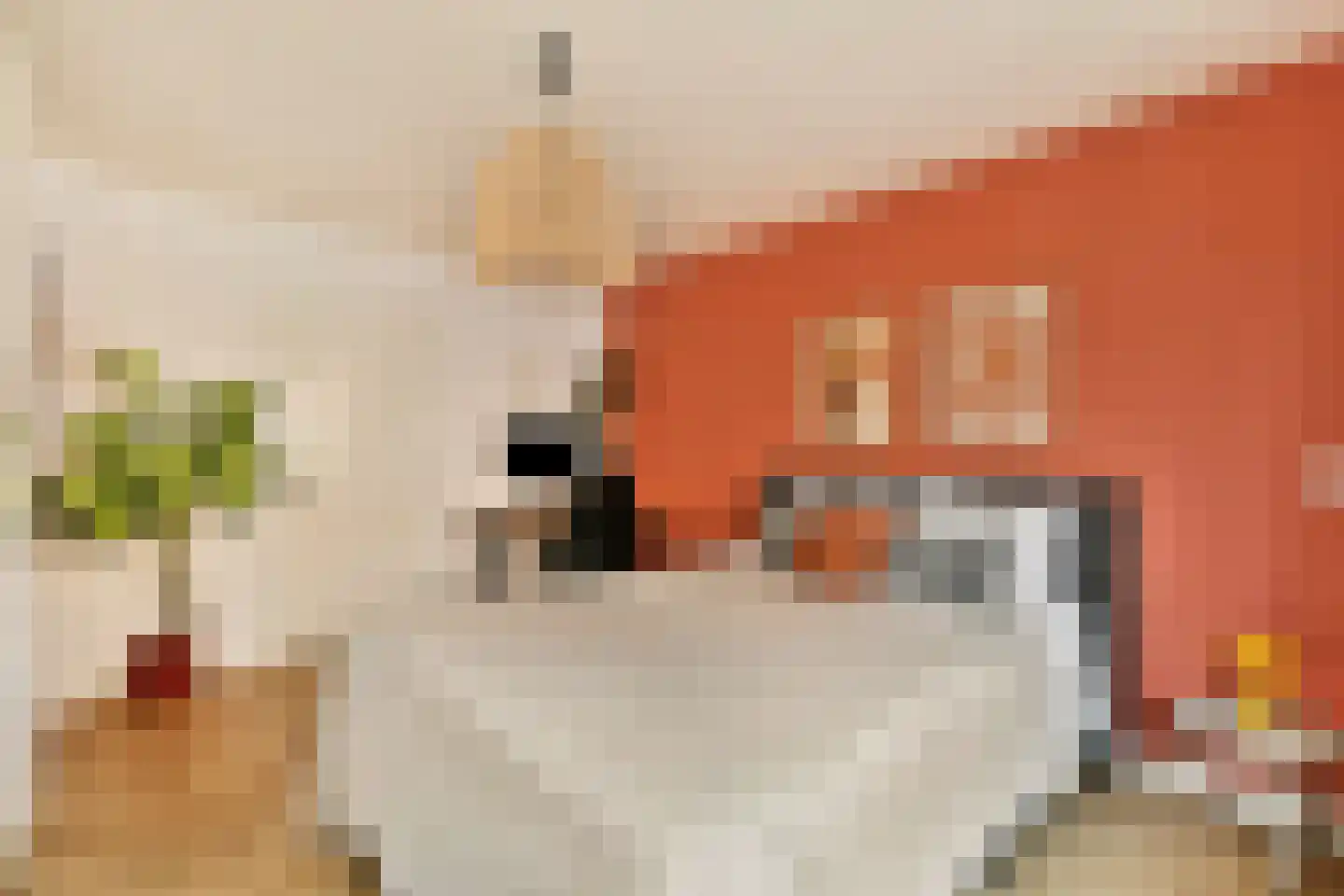 David Blesstraat 6 H Amsterdam thumbnail 15