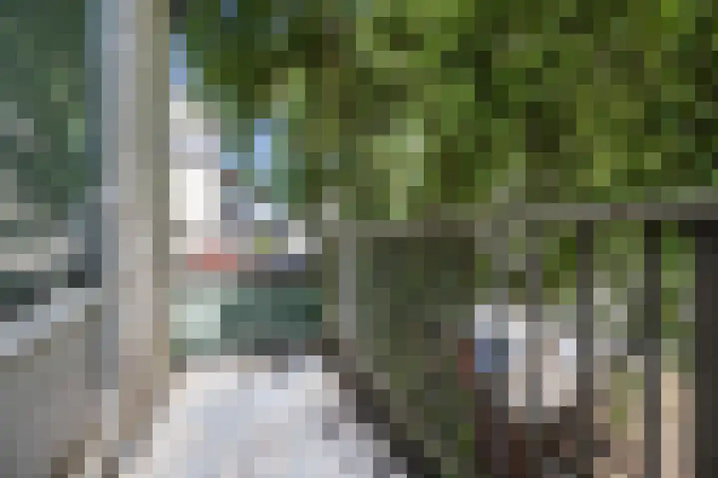 David Blesstraat 60 Den Haag thumbnail 25