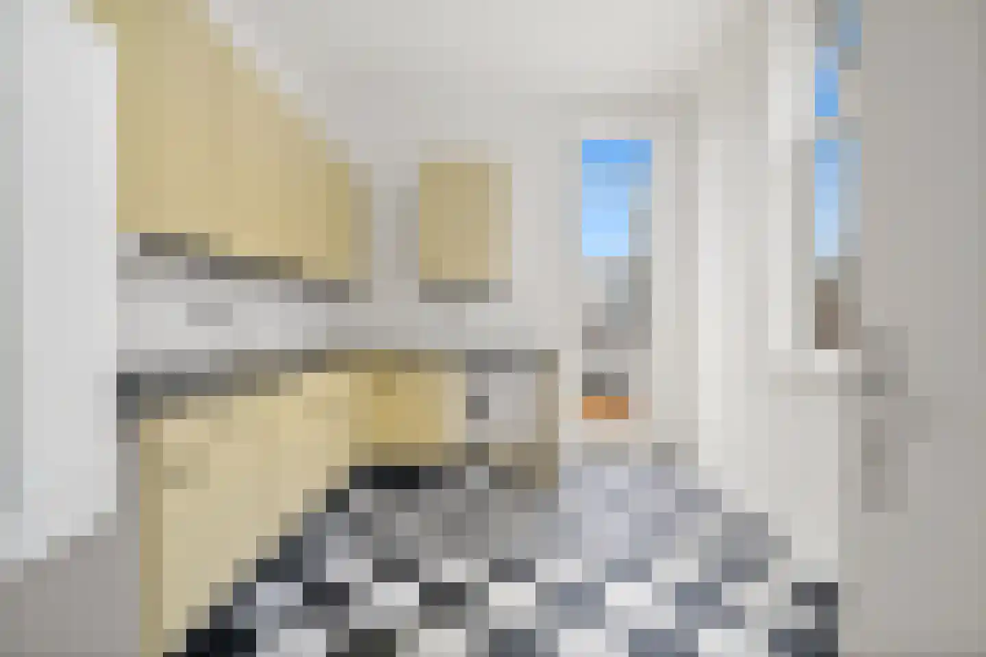 David Blesstraat 64 Den Haag thumbnail 10