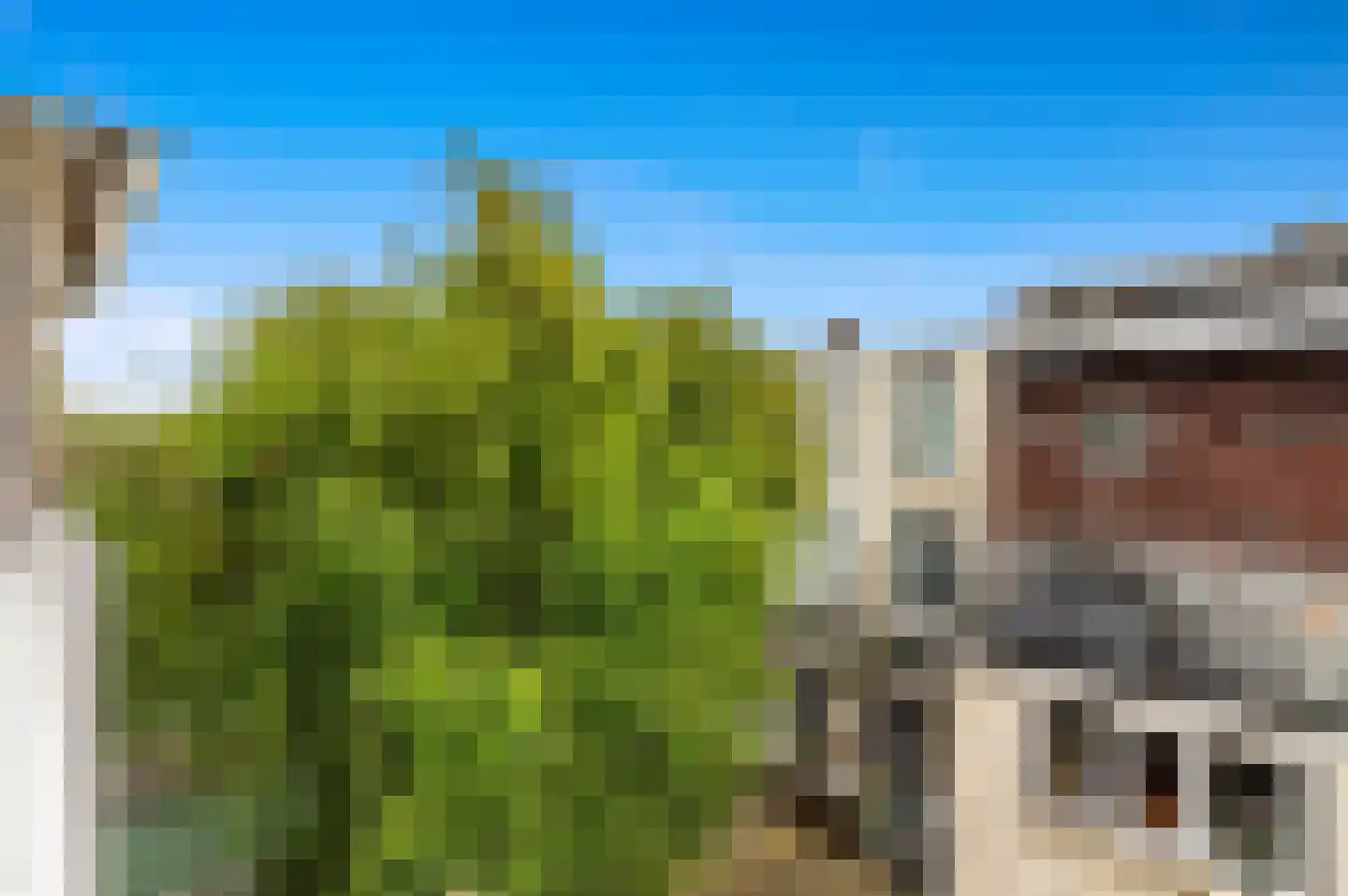 David Blesstraat 64 Den Haag thumbnail 12