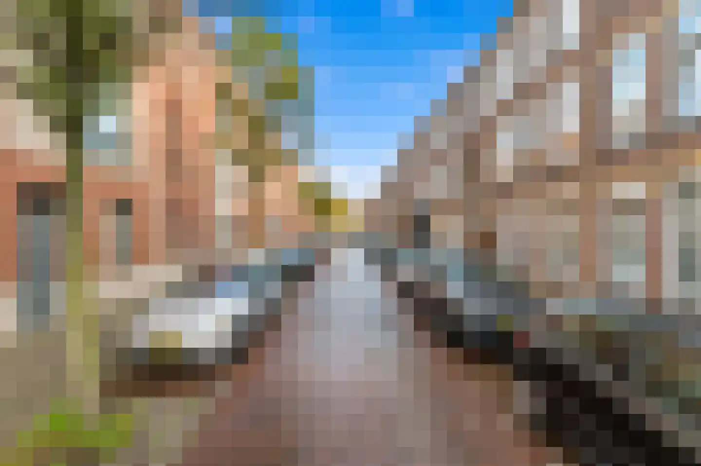 David Blesstraat 64 Den Haag thumbnail 26