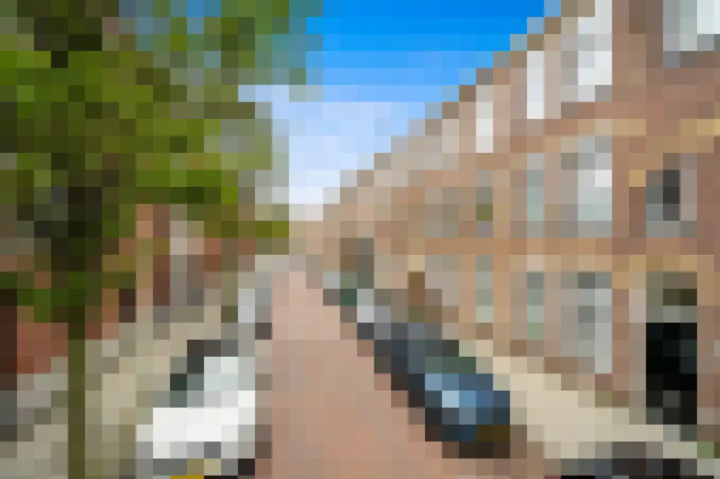 David Blesstraat 64 Den Haag thumbnail 27