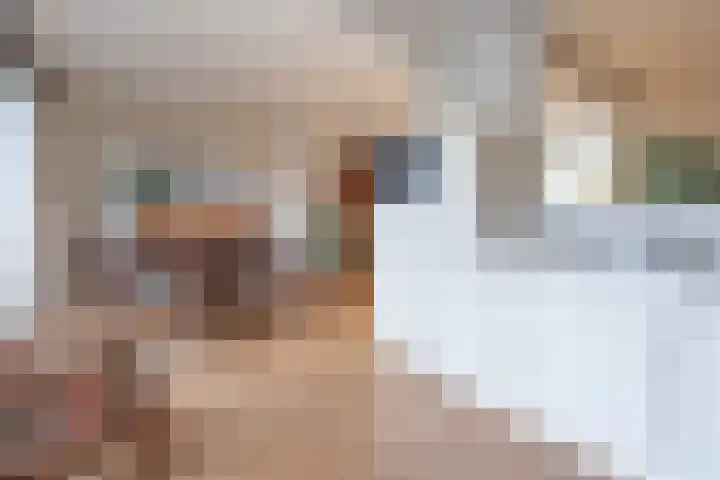 David de Caerslaan 9 Odijk thumbnail 10
