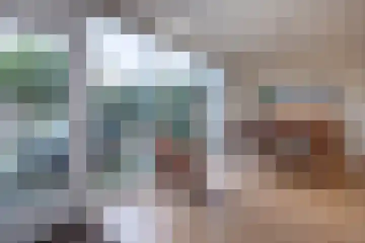 David de Caerslaan 9 Odijk thumbnail 13
