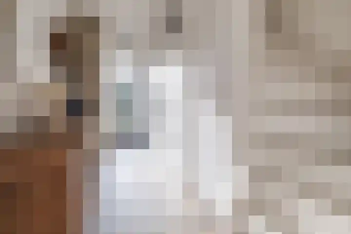 David de Caerslaan 9 Odijk thumbnail 14