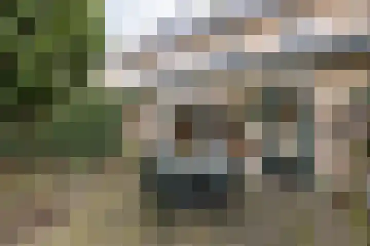 David de Caerslaan 9 Odijk thumbnail 32