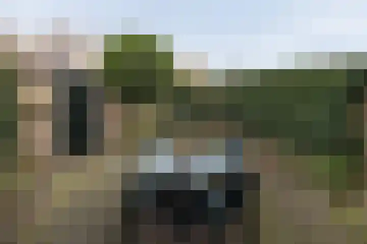 David de Caerslaan 9 Odijk thumbnail 33