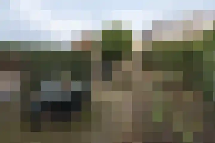 David de Caerslaan 9 Odijk thumbnail 34