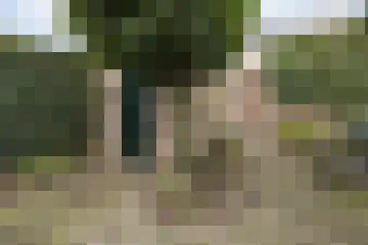 David de Caerslaan 9 Odijk thumbnail 35