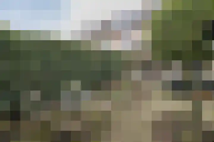 David de Caerslaan 9 Odijk thumbnail 37