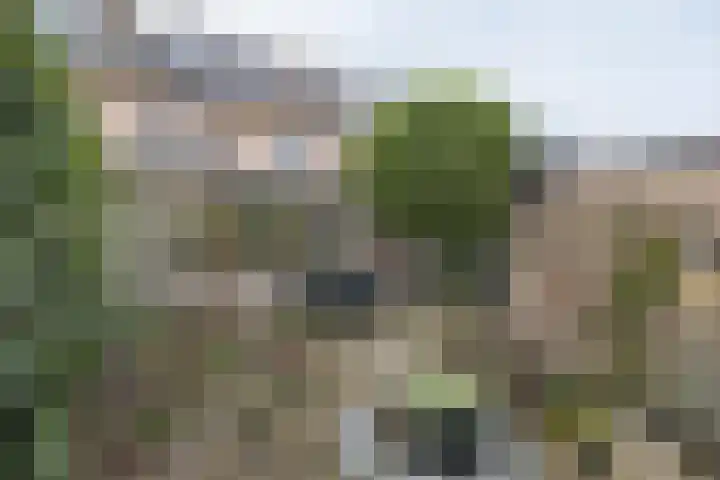 David de Caerslaan 9 Odijk thumbnail 38