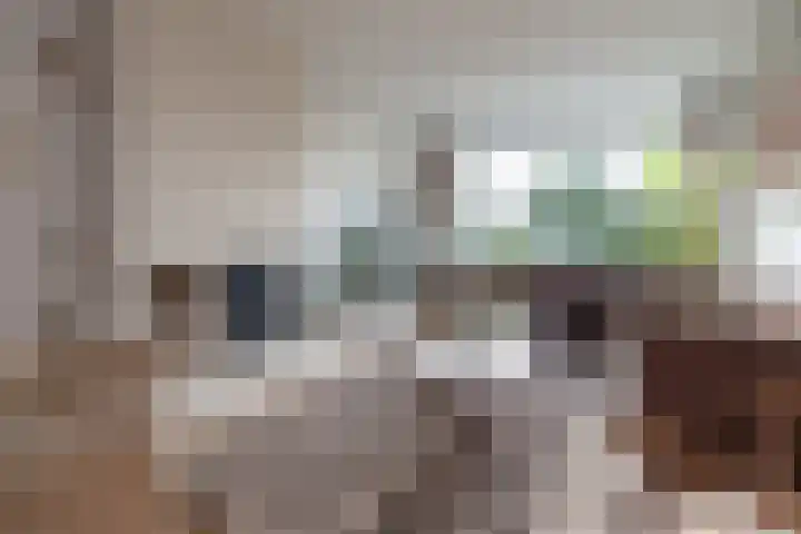 David de Caerslaan 9 Odijk thumbnail 4