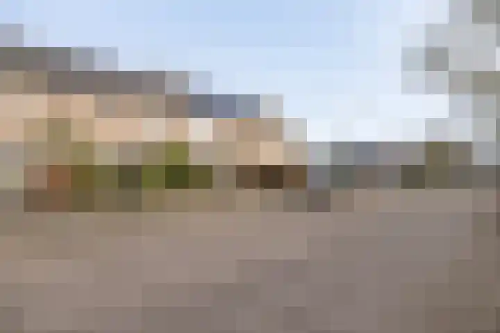 David de Caerslaan 9 Odijk thumbnail 41
