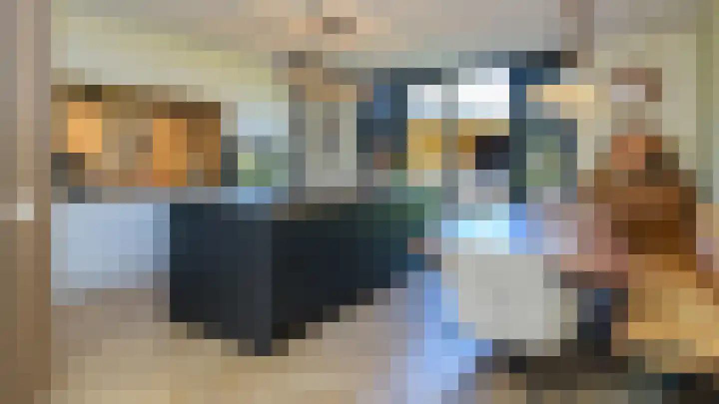 David Goskerstraat 2 Apeldoorn thumbnail 27