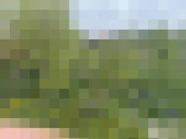 David Humeweg 49 Almere thumbnail 6