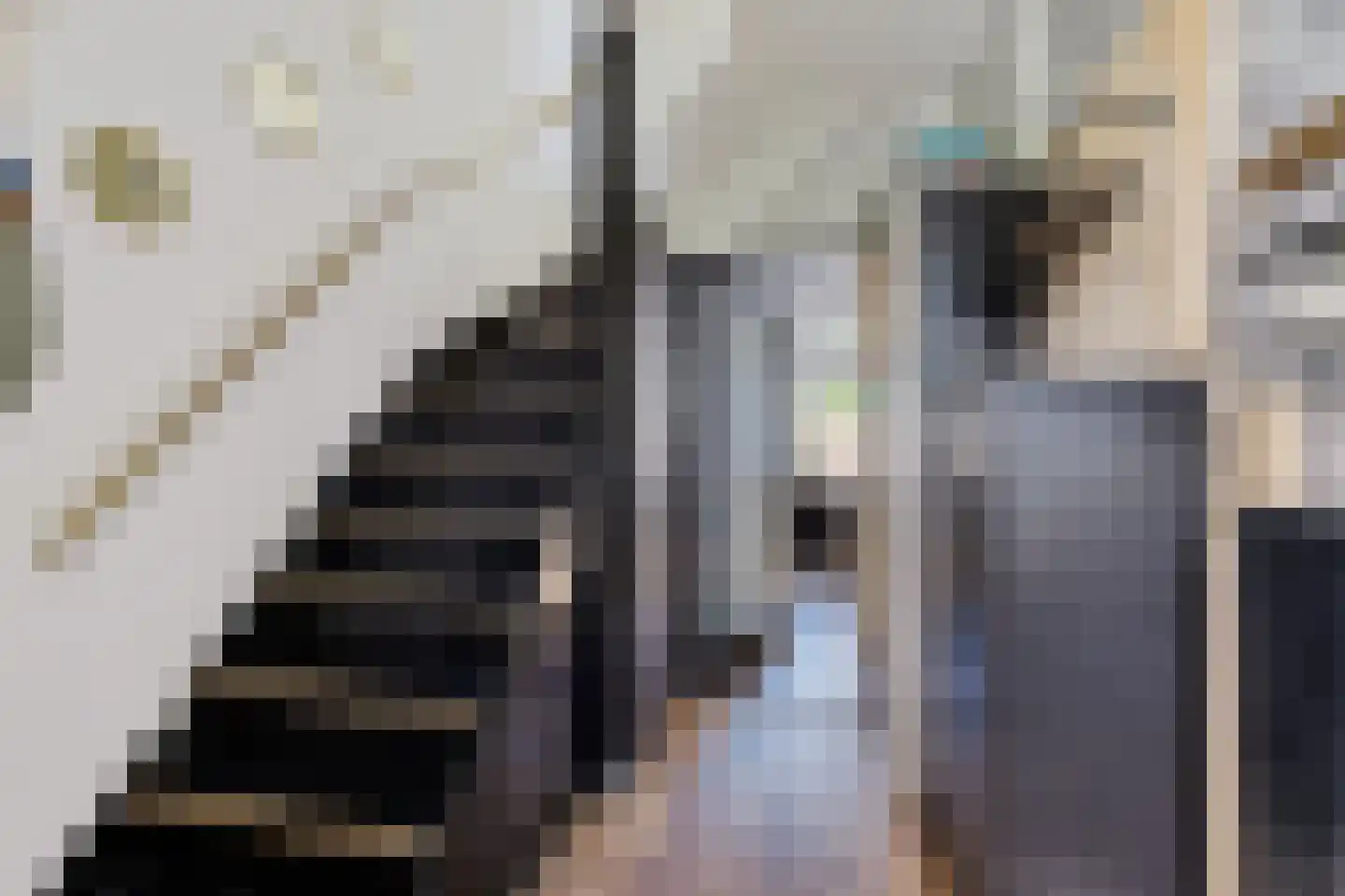 David Kloostermanstrjitte 4 Kollumersweach thumbnail 11
