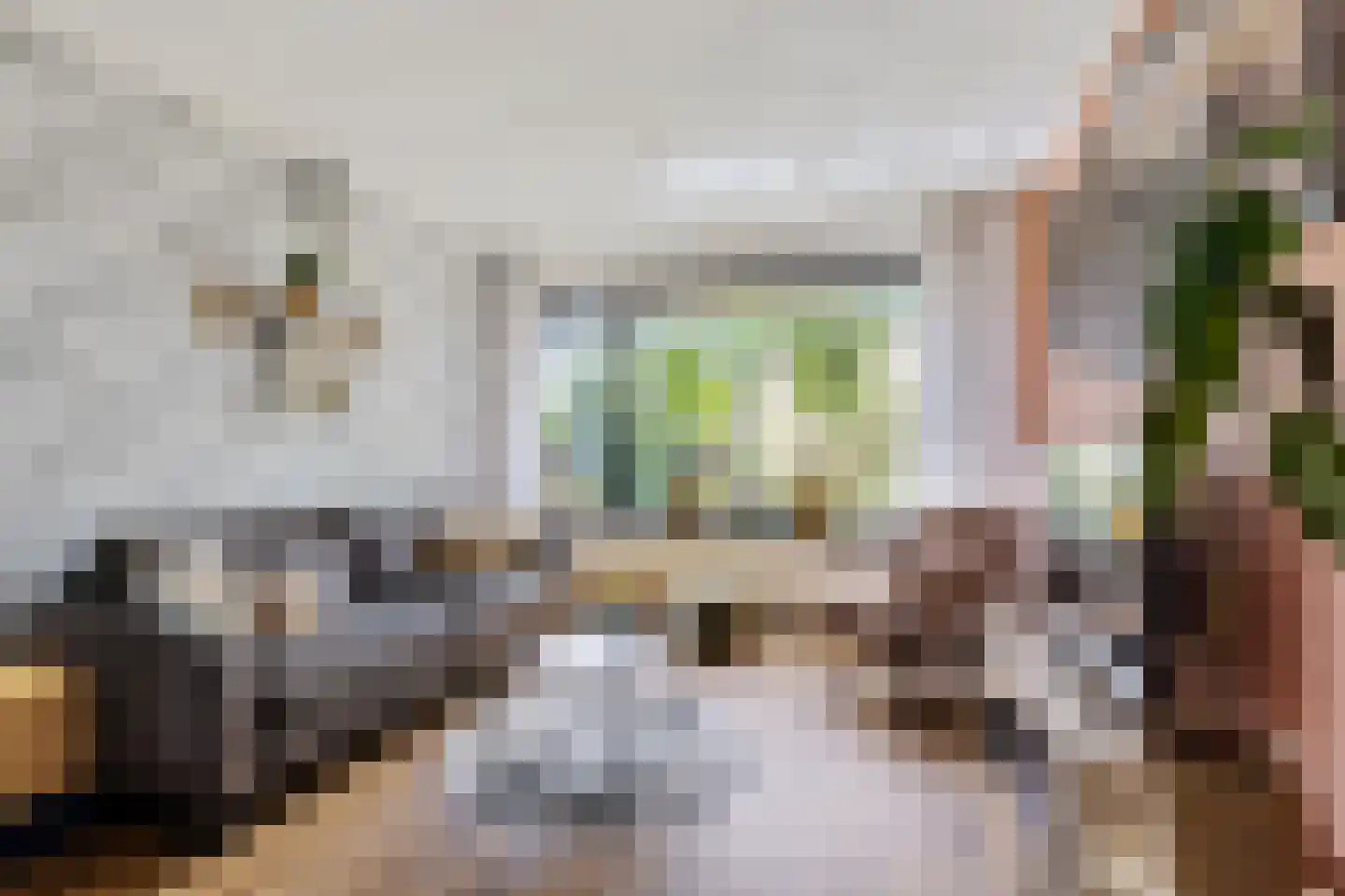 David Kloostermanstrjitte 4 Kollumersweach thumbnail 12