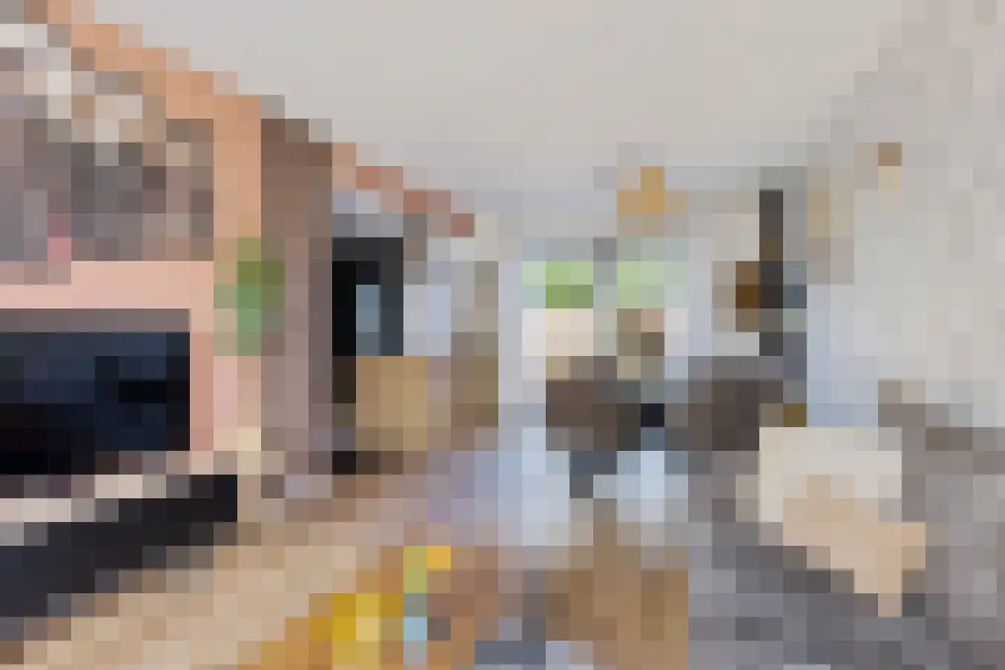 David Kloostermanstrjitte 4 Kollumersweach thumbnail 13