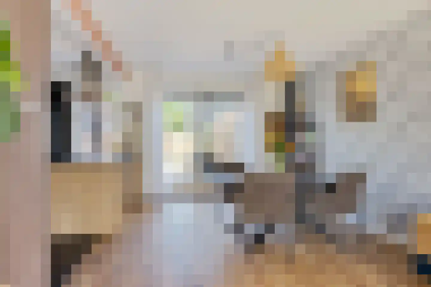 David Kloostermanstrjitte 4 Kollumersweach thumbnail 14