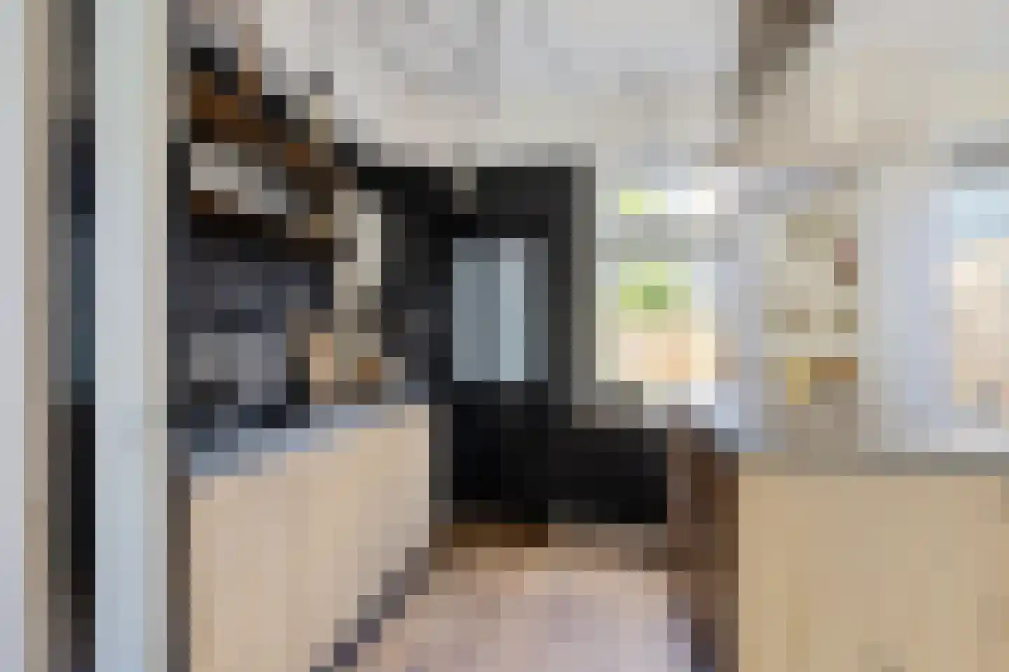 David Kloostermanstrjitte 4 Kollumersweach thumbnail 17