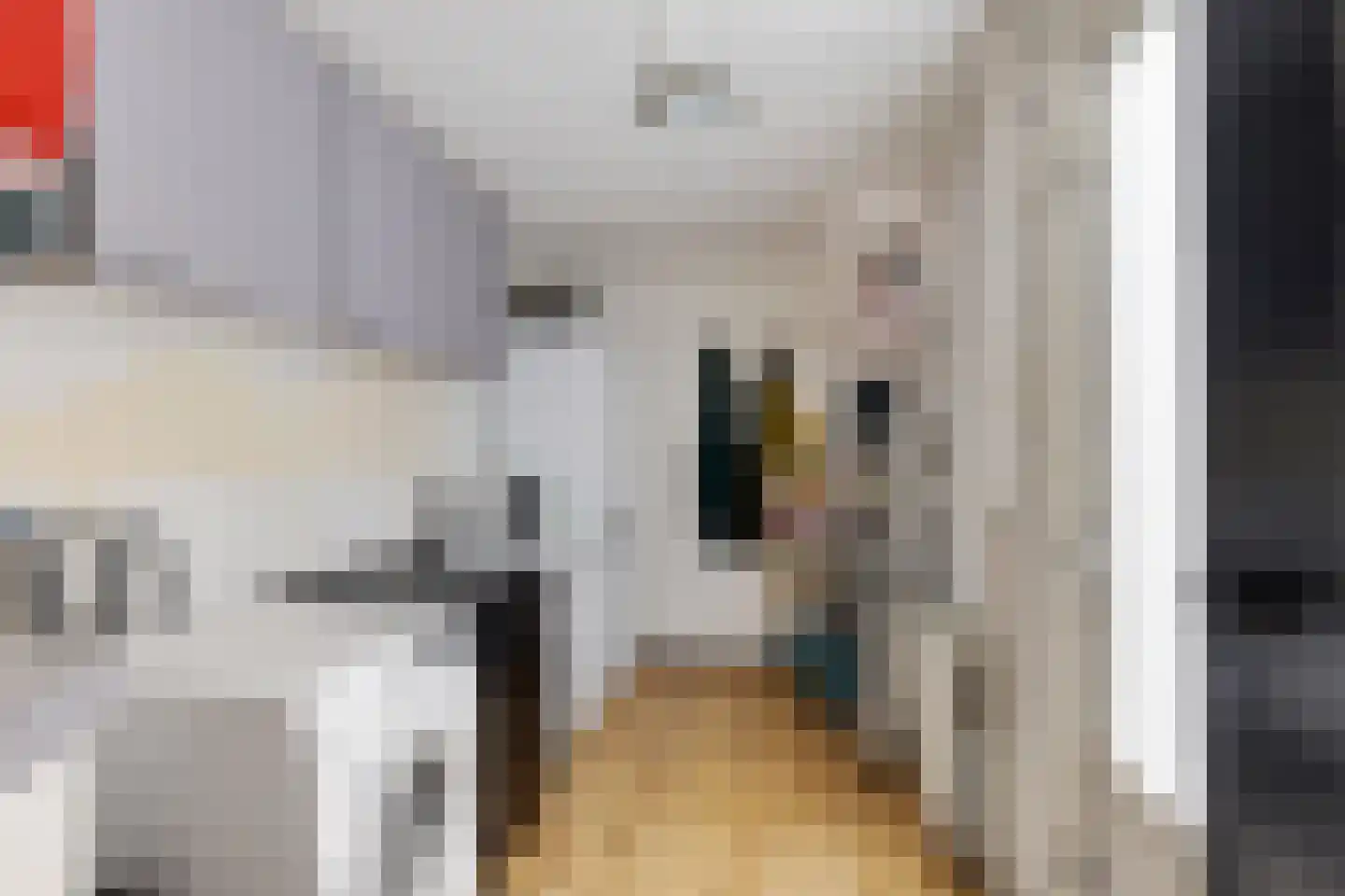 David Kloostermanstrjitte 4 Kollumersweach thumbnail 18