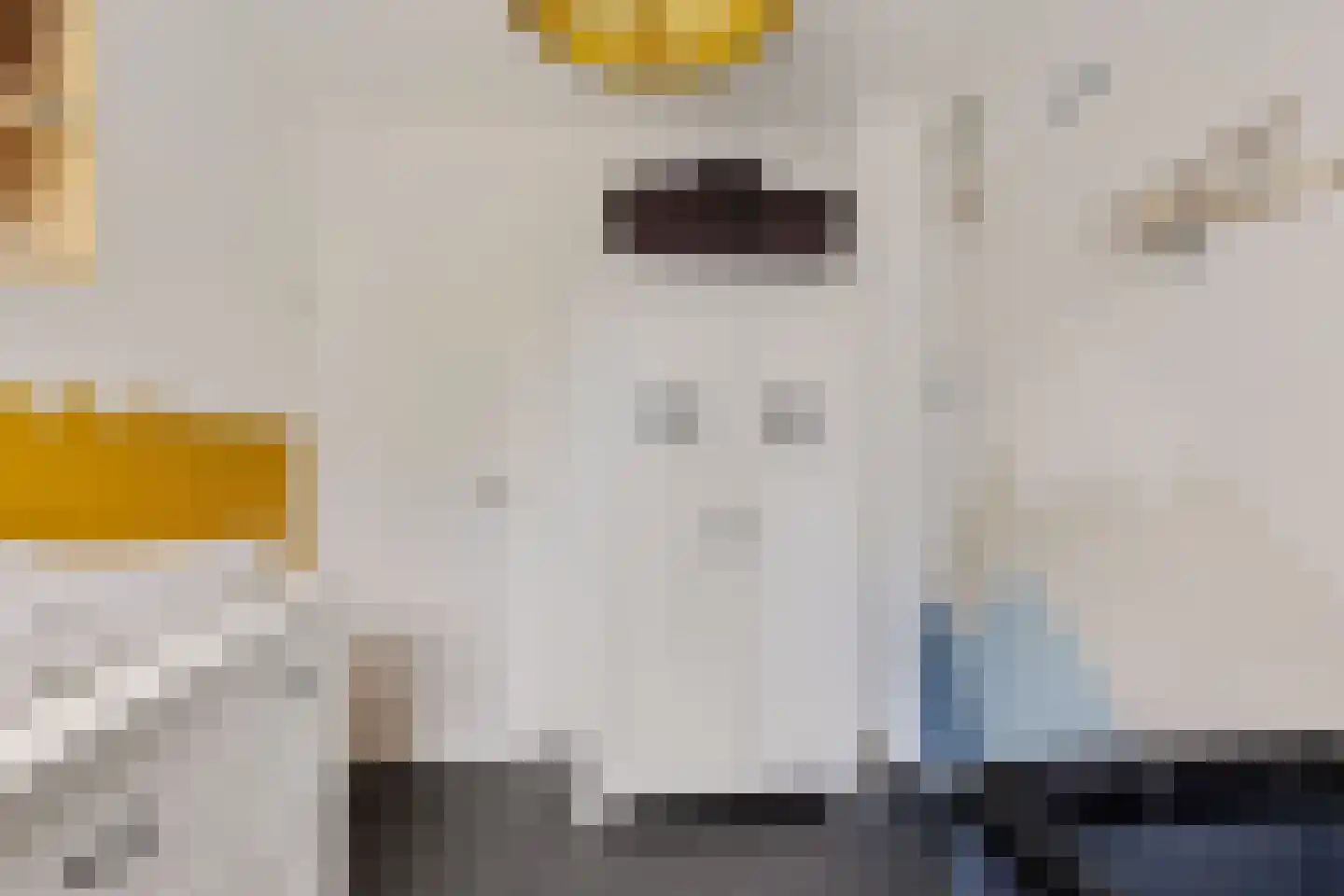 David Kloostermanstrjitte 4 Kollumersweach thumbnail 27