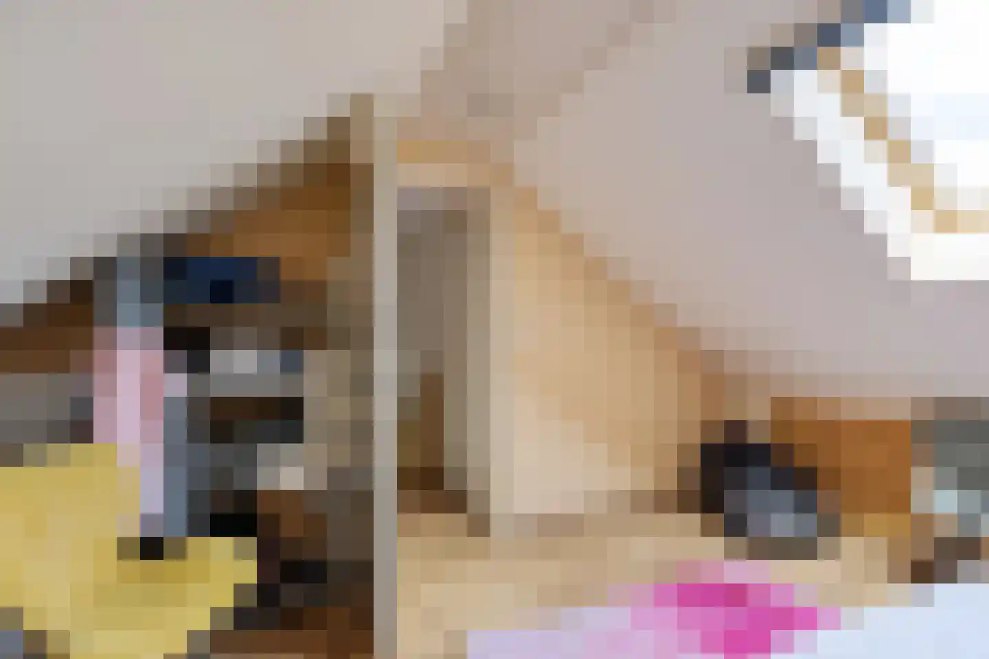 David Kloostermanstrjitte 4 Kollumersweach thumbnail 34