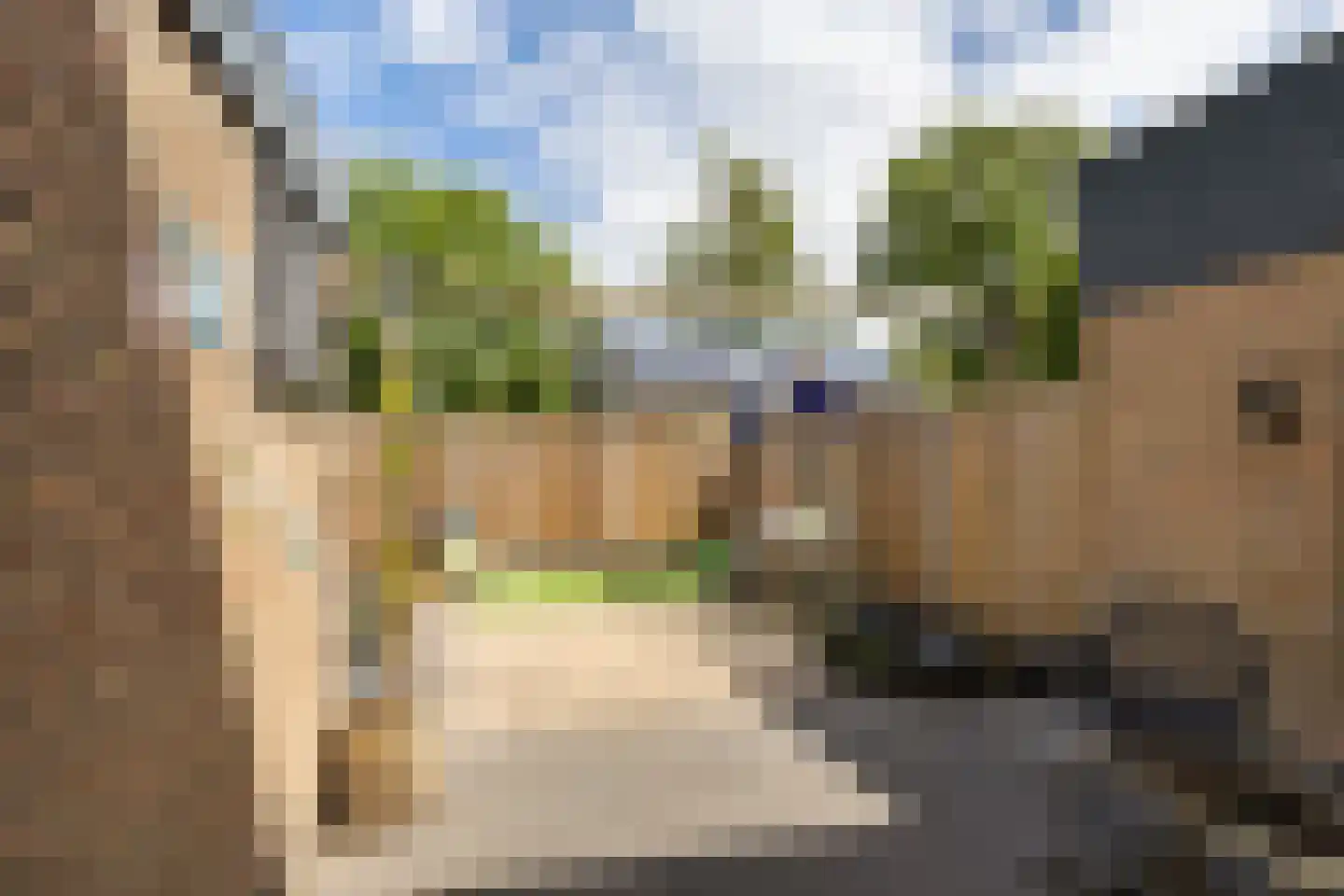 David Kloostermanstrjitte 4 Kollumersweach thumbnail 36
