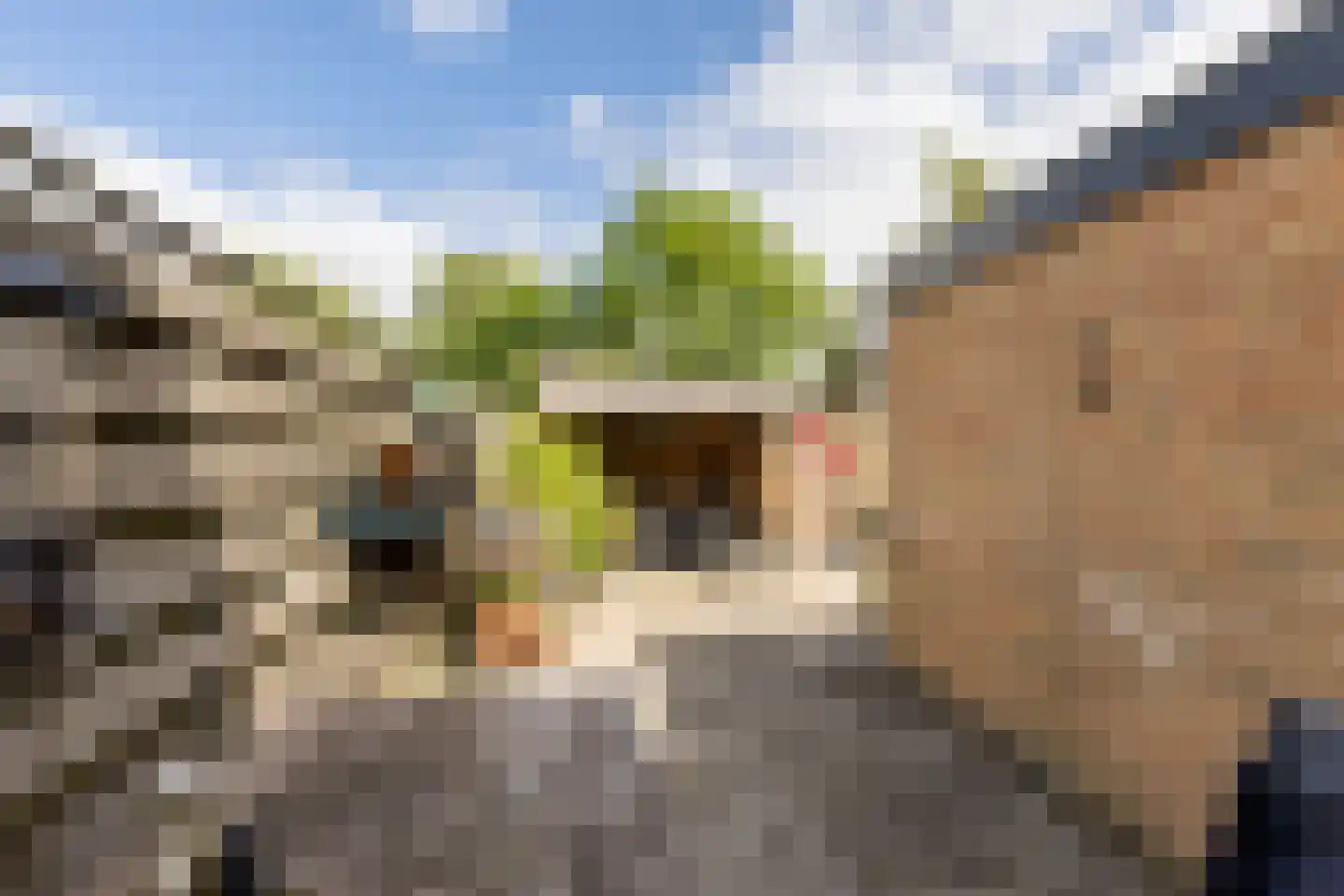 David Kloostermanstrjitte 4 Kollumersweach thumbnail 38