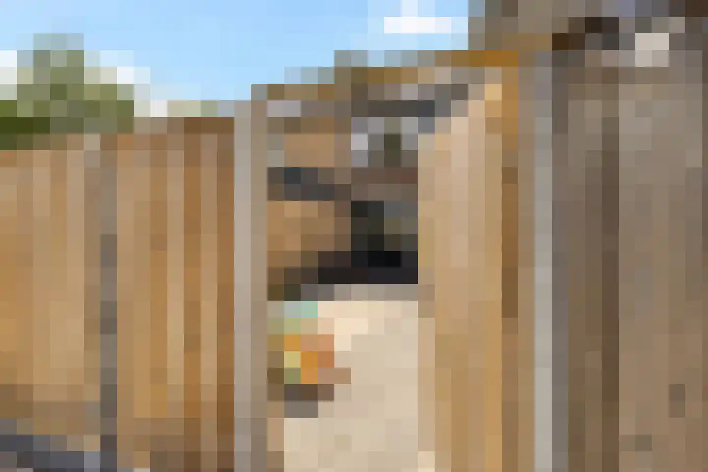 David Kloostermanstrjitte 4 Kollumersweach thumbnail 40