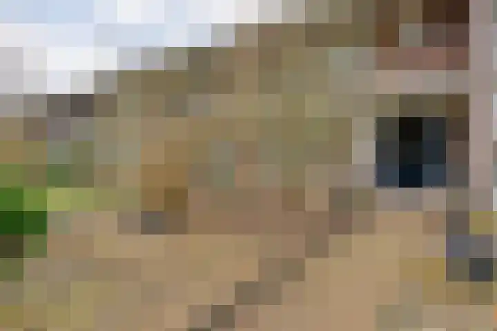 David Krammerstraat 119 Coevorden thumbnail 6