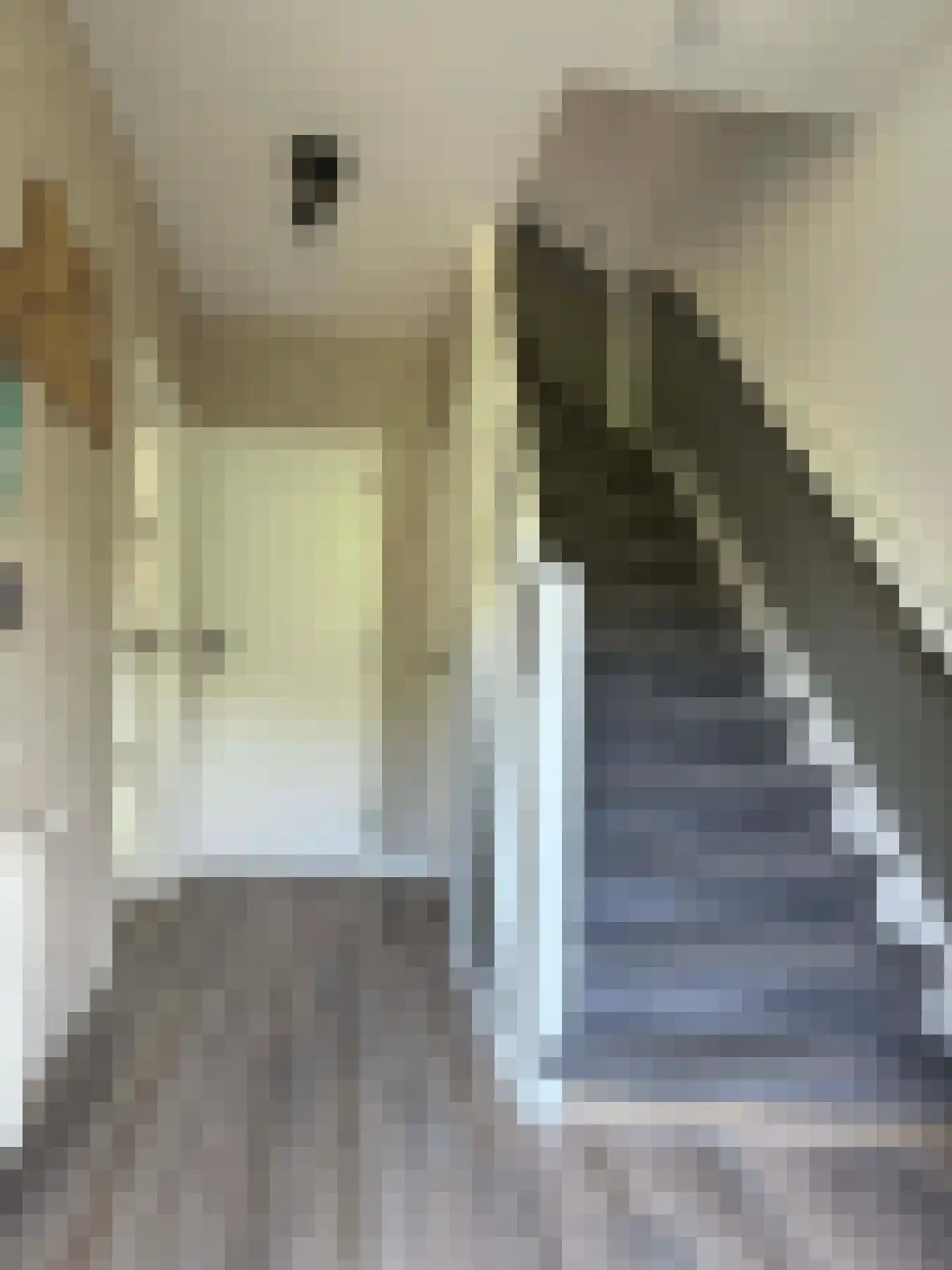 David Krammerstraat 25 Coevorden thumbnail 23