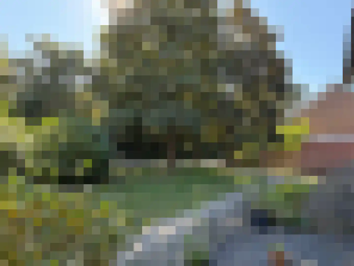 David Krammerstraat 25 Coevorden thumbnail 9