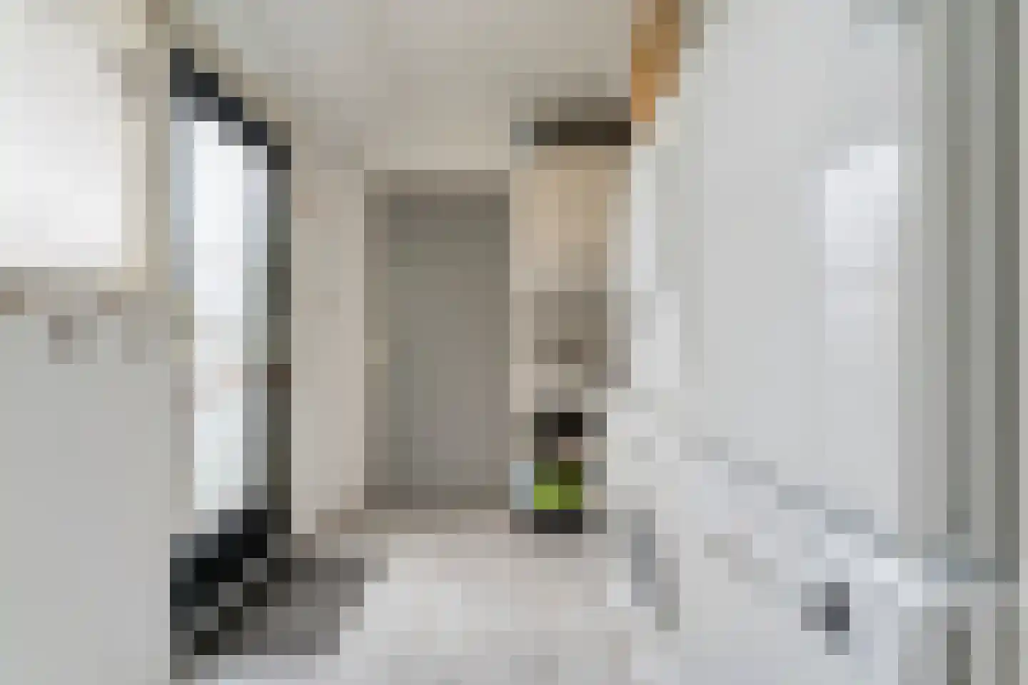 David Krammerstraat 29 Coevorden thumbnail 17