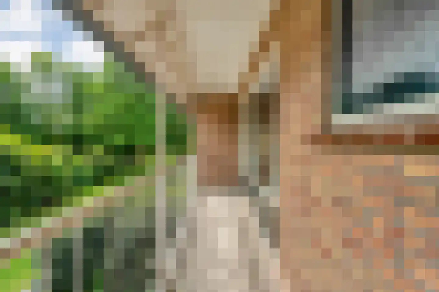 David Krammerstraat 29 Coevorden thumbnail 26