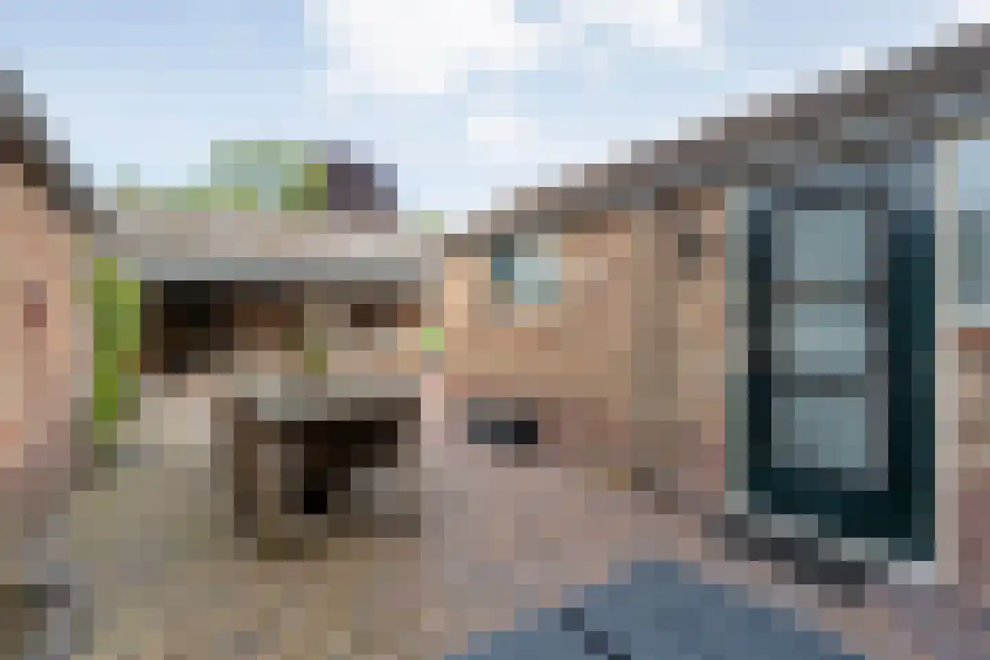 David Krammerstraat 29 Coevorden thumbnail 40
