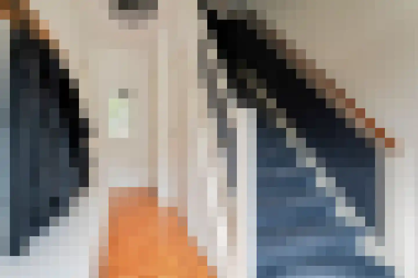 David Krammerstraat 29 Coevorden thumbnail 7